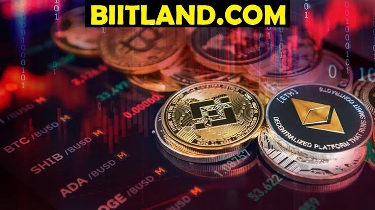 Biitland.com Guide: Everything You Need to Know