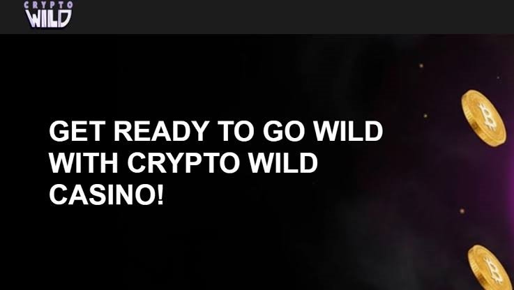 CryptoWild Explained