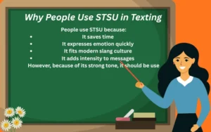 stsu meaning